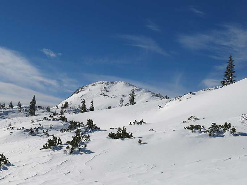 Buchbergkogel